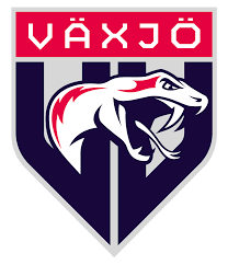 Växjö IBK U P07